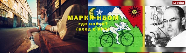 твердый Вяземский