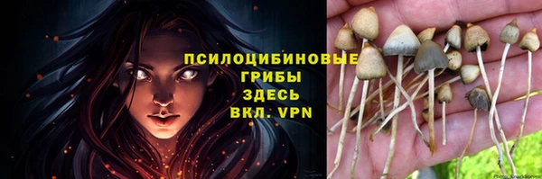 кокаин премиум Горнозаводск