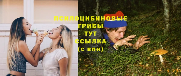 а пвп мука Горняк