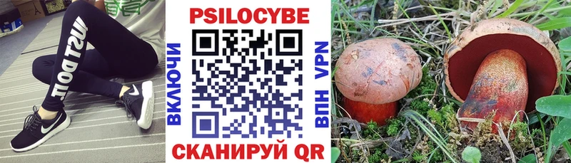 Купить где  Невельск  Псилоцибиновые грибы ЛСД 